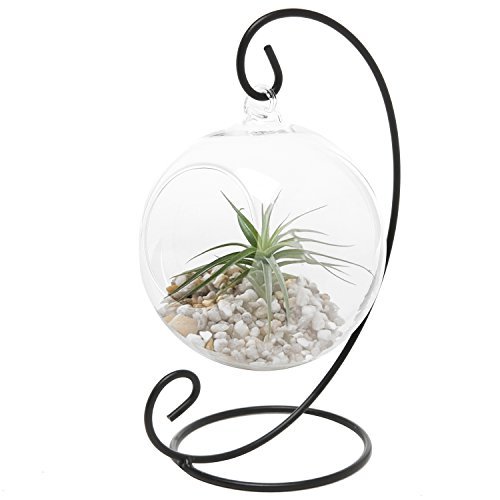 Charming-Clear-Glass-Hanging-Planter-Terrarium-Globe-Tea-Light-Candle-Holder-Lantern-w-Stand-MyGift-0