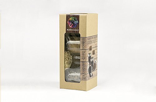 MakersKit-Hanging-Air-Plant-Terrarium-0