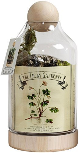 Twig-Terrariums-Lucky-Gardener-Terrarium-Kit-0-0