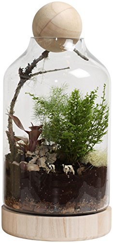 Twig-Terrariums-Lucky-Gardener-Terrarium-Kit-0