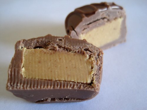 Philadelphia-Candies-Milk-Chocolate-Peanut-Butter-Truffles-Net-Wt-1-lb-0-5
