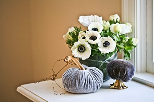 Velvet-Pumpkins-Moss-Collection-Small-Set-0-3