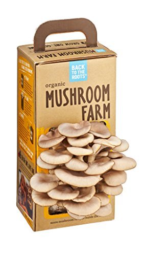 Back-to-the-Roots-Organic-Mushroom-Farm-0