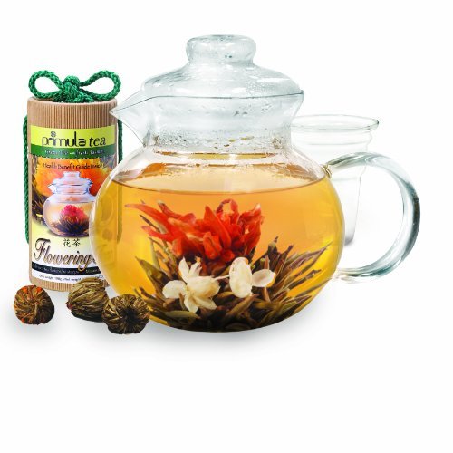 Primula-40-Ounce-Glass-Teapot-with-Infuser-and-Lid-with-12-Flowering-Teas-in-a-Canister-0