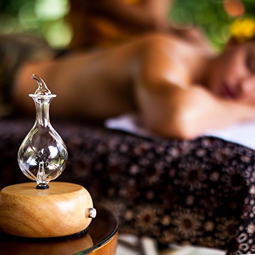 Nebulizing-Pure-Essential-Oil-Aromatherapy-Diffuser-Premium-Home-Professional-Use-No-Heat-No-Water-No-Plastic-Light-Radiance-by-Organic-Aromas-0