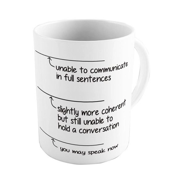 Funny You May Speak Now 11OZ Coffee Mug Novelty